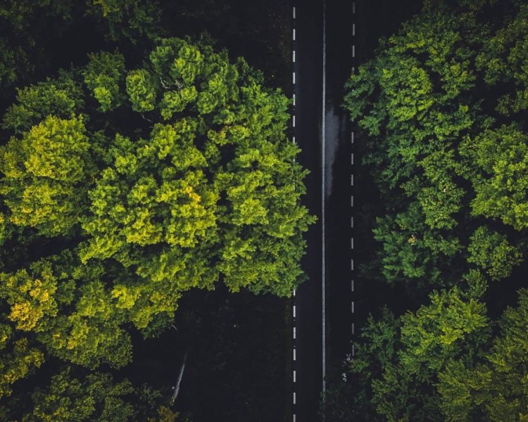 de-weg-naar-een-groene-wereld-adlar-castra.jpg