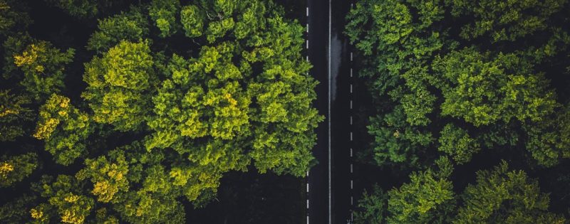 de-weg-naar-een-groene-wereld-adlar-castra.jpg